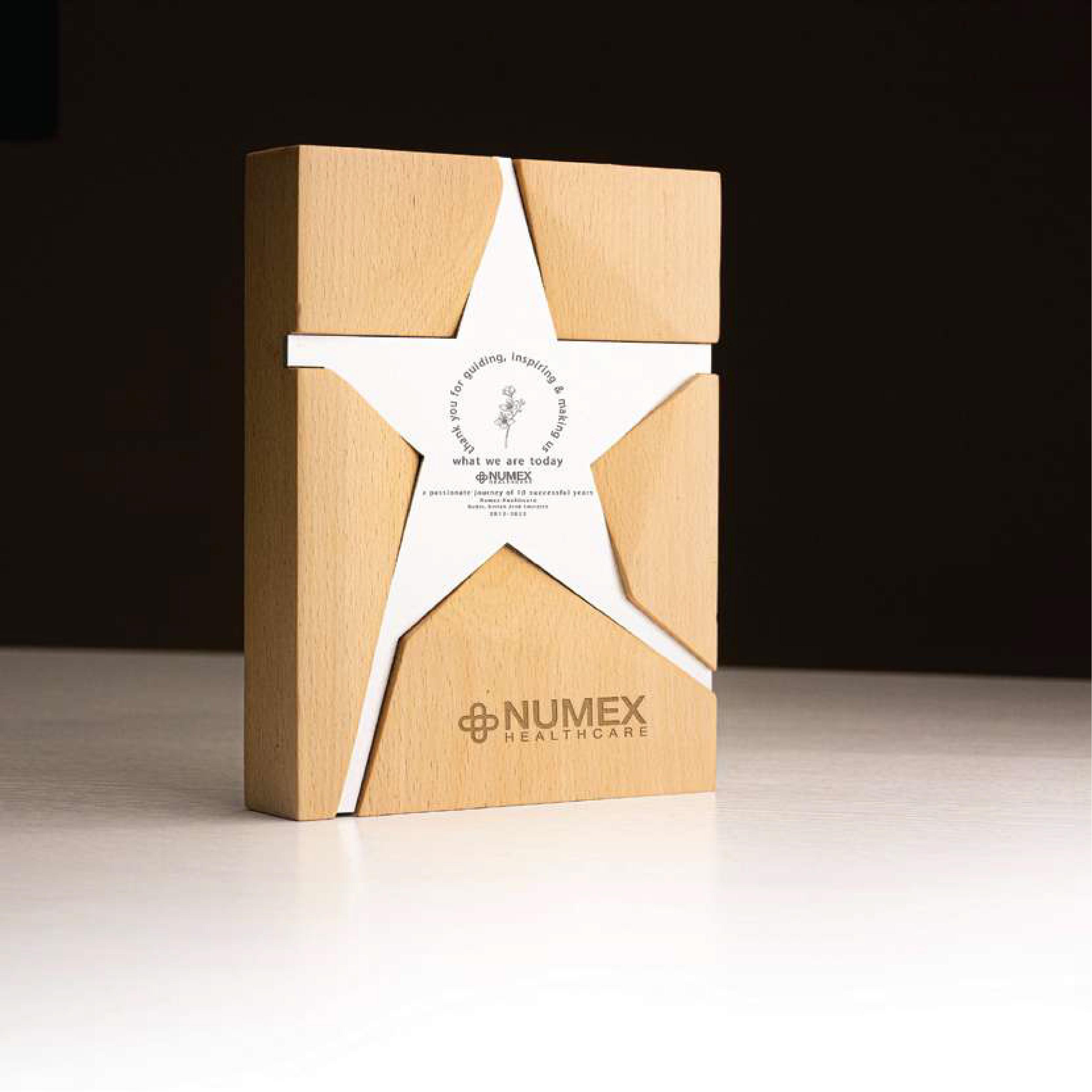 Wooden Trophy With Metal Star Size- 14.6 x 19.6 cm